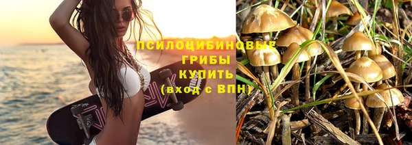 прущие крисы Белокуриха