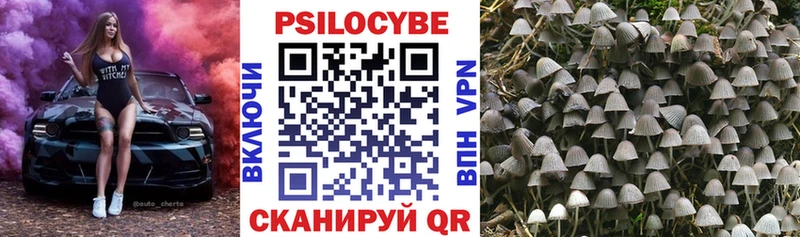 Псилоцибиновые грибы Psilocybine cubensis  купить наркотик  Великие Луки 